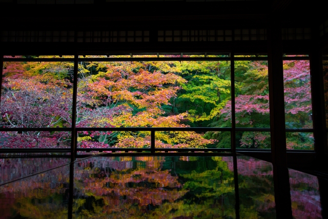 京都賞楓景點
需要預約的紅葉景點
琉璃光院