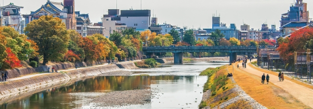 京都賞楓
紅葉景點
怎麼安排賞楓行程
京都鴨川和四條大橋的秋天形象