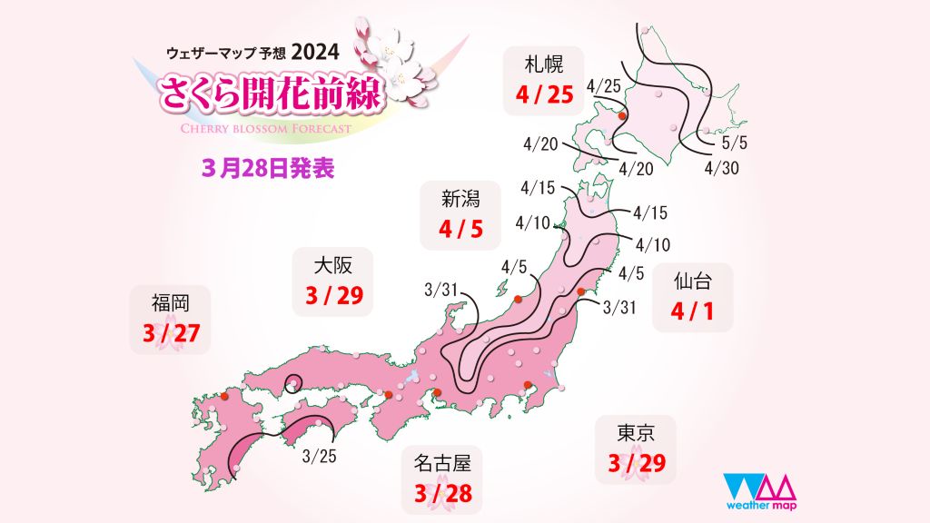 2024 日本櫻花季 開花時間預測 櫻花情報 東京 大阪 名古屋 福岡 札幌